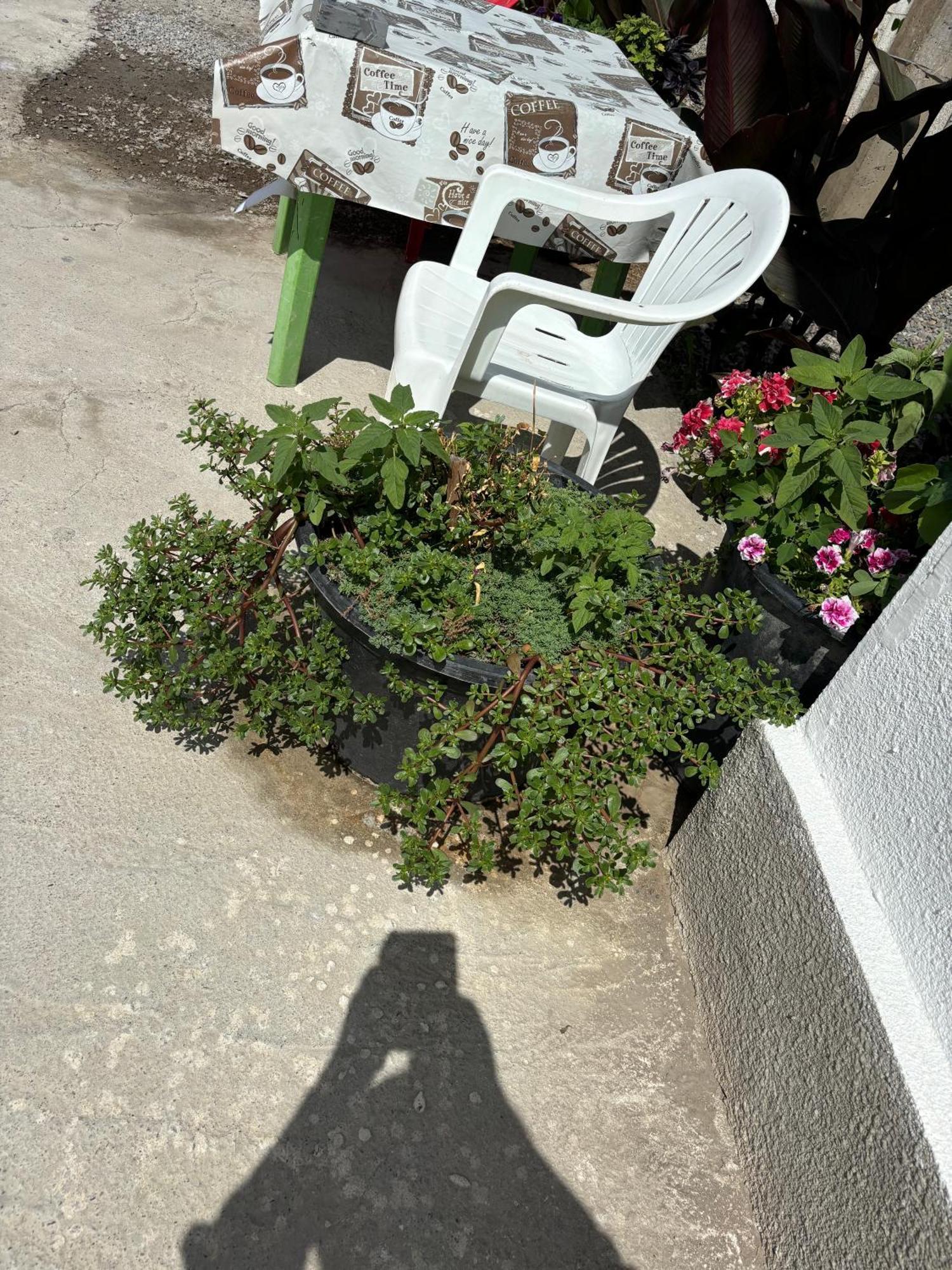 Hostel,Halal Хостел,Халал Tokmok Bagian luar foto